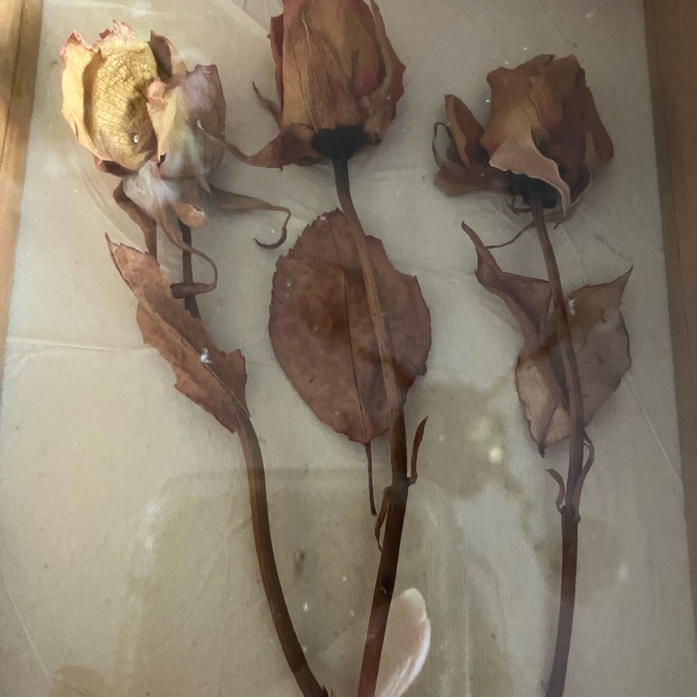 Natural Wood Shadow Box with Dried Roses signed by the artist - Picture 2 of 9